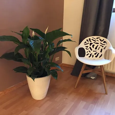 Appartement Daily -